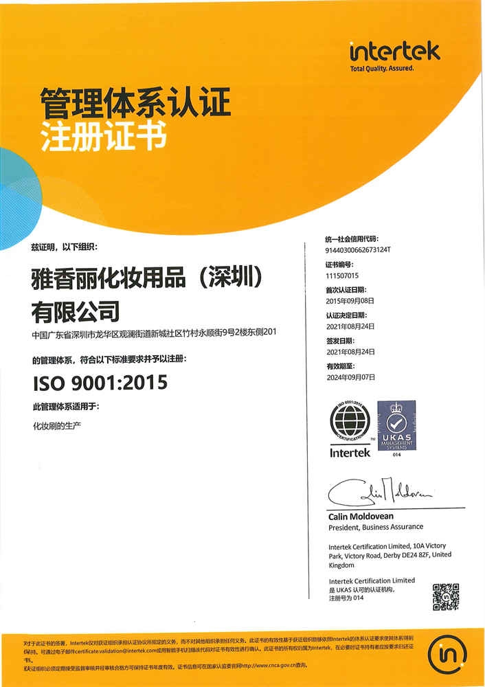 ISO9001：2015 中文