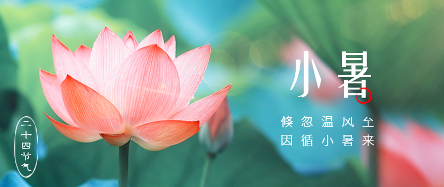 小暑 | 夏天葫芦娃成人短视频用葫芦娃黄片下载葫芦娃视频污版更清爽！